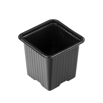 image_1